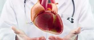 Сердцебиение жизни: кто такой кардиолог и чем он занимается?